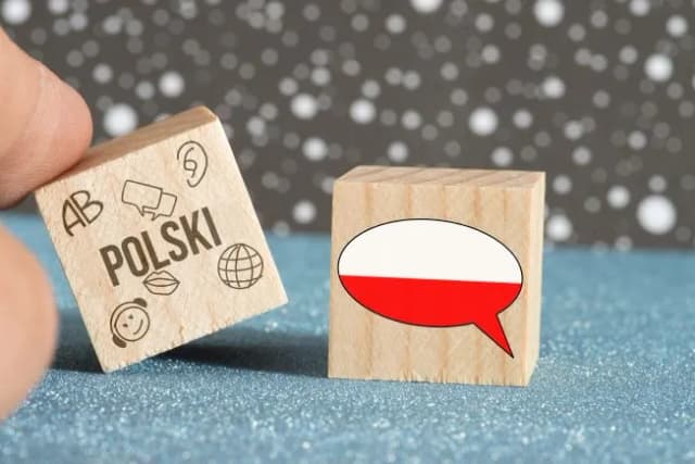 Zajęcia wyrównawcze z języka polskiego dla obcokrajowców - jak zdobyć wsparcie? Zajęcia wyrównawcze z języka polskiego dla obcokrajowców - jak zdobyć wsparcie?