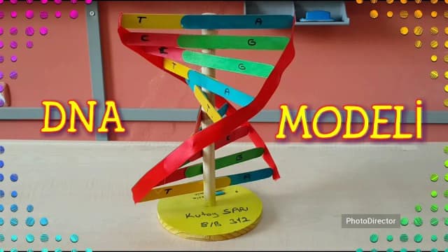 Jak zrobić DNA na biologię: proste kroki do stworzenia modelu Jak zrobić DNA na biologię: proste kroki do stworzenia modelu
