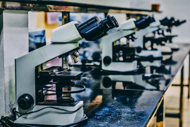 Biologia molekularna czym się zajmuje: kluczowe obszary i odkrycia Biologia molekularna czym się zajmuje: kluczowe obszary i odkrycia
