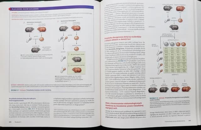 Biologia Villego czy Campbella - który podręcznik jest lepszy? Biologia Villego czy Campbella - który podręcznik jest lepszy?