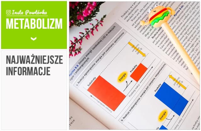 Co to jest metabolizm w biologii? Zrozum jego kluczowe znaczenie Co to jest metabolizm w biologii? Zrozum jego kluczowe znaczenie