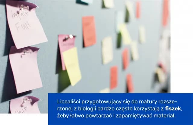Ile punktów na maturze z biologii i jak je skutecznie zdobyć Ile punktów na maturze z biologii i jak je skutecznie zdobyć