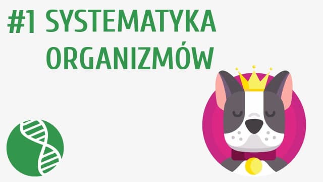 Co to jest systematyka w biologii i dlaczego jest tak ważna? Co to jest systematyka w biologii i dlaczego jest tak ważna?