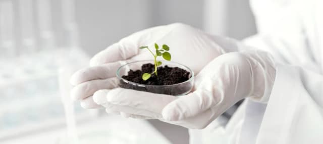 Co po rozszerzonej biologii? Odkryj najlepsze kierunki i zawody Co po rozszerzonej biologii? Odkryj najlepsze kierunki i zawody