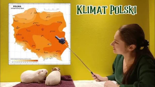 Co kształtuje klimat i opady w Polsce? Odkryj kluczowe czynniki Co kształtuje klimat i opady w Polsce? Odkryj kluczowe czynniki