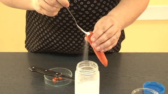 Co to osmoza w biologii? Klucz do zrozumienia życia komórkowego Co to osmoza w biologii? Klucz do zrozumienia życia komórkowego