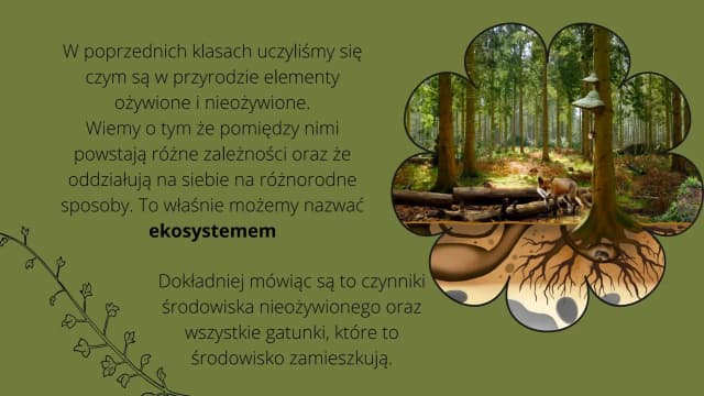 Sukcesja w biologii: Kluczowe zmiany w ekosystemach, które musisz znać Sukcesja w biologii: Kluczowe zmiany w ekosystemach, które musisz znać