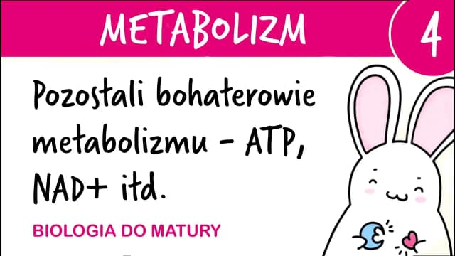 ATP w biologii: co to jest i jak wpływa na życie komórek ATP w biologii: co to jest i jak wpływa na życie komórek