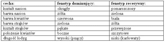 Biologia: Czym jest genetyka i jak wpływa na dziedziczenie cech Biologia: Czym jest genetyka i jak wpływa na dziedziczenie cech