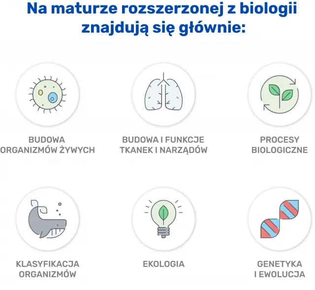 Co na maturze z biologii? Kluczowe zagadnienia, które musisz znać Co na maturze z biologii? Kluczowe zagadnienia, które musisz znać