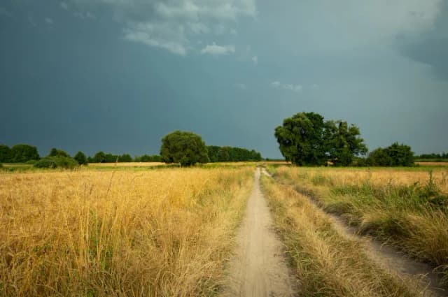 Jak to działa klimat i pogoda? Zrozum różnice i ich wpływ Jak to działa klimat i pogoda? Zrozum różnice i ich wpływ