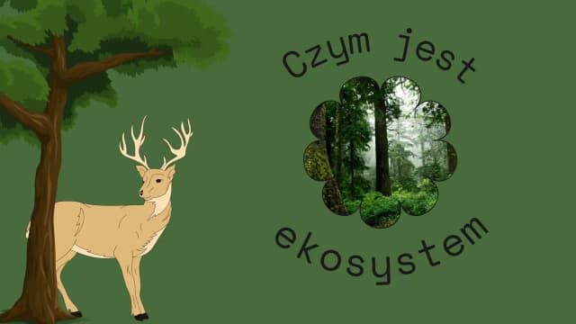 Konkurencja w biologii – zrozumienie jej roli i wpływu na ekosystemy Konkurencja w biologii – zrozumienie jej roli i wpływu na ekosystemy