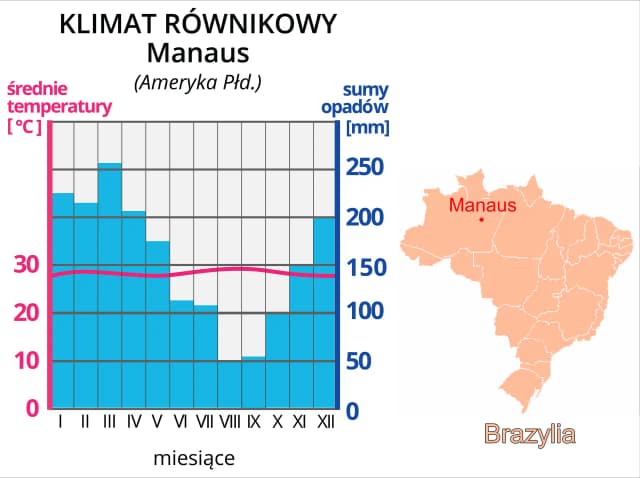 Co powoduje gorący i wilgotny klimat lasów równikowych? Zaskakujące fakty Co powoduje gorący i wilgotny klimat lasów równikowych? Zaskakujące fakty