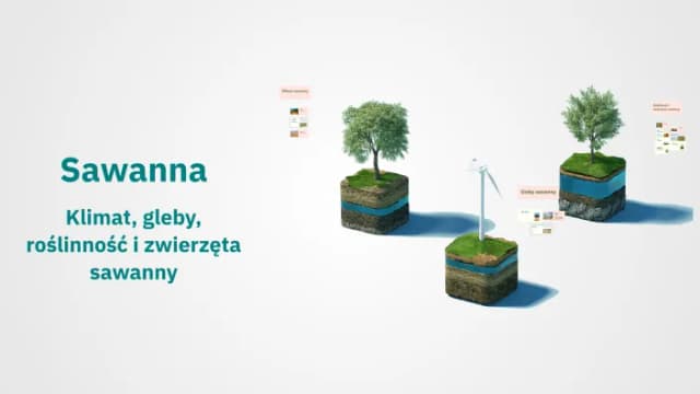 Jaki jest klimat na sawannie? Poznaj zaskakujące zmiany sezonowe Jaki jest klimat na sawannie? Poznaj zaskakujące zmiany sezonowe