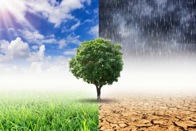 Co zmienia klimat? Poznaj przyczyny i skutki zmian klimatycznych Co zmienia klimat? Poznaj przyczyny i skutki zmian klimatycznych