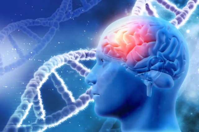Totalna biologia jak rozwiązać konflikt emocjonalny i odzyskać zdrowie Totalna biologia jak rozwiązać konflikt emocjonalny i odzyskać zdrowie