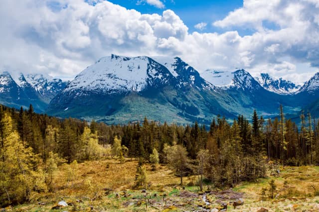 Jaki jest klimat w Norwegii? Odkryj zaskakujące różnice regionalne Jaki jest klimat w Norwegii? Odkryj zaskakujące różnice regionalne