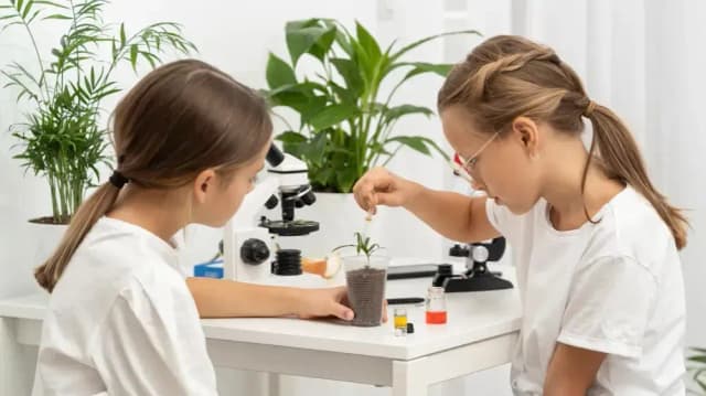 Ile kosztują korepetycje z biologii? Sprawdź, co wpływa na ceny Ile kosztują korepetycje z biologii? Sprawdź, co wpływa na ceny